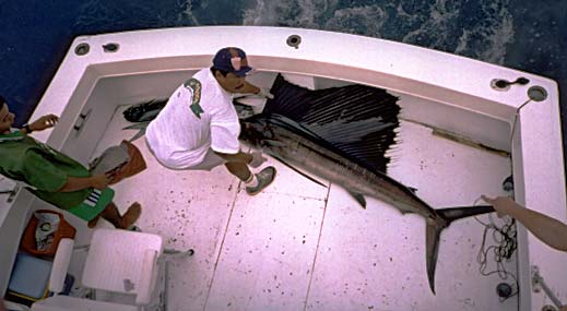 Enlarged photo of fishing