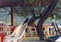 Enjoy the food at La Perla restaurant! Click to see enlarged version (22k).