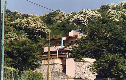 Enlarged photo of the condominium entrance